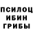 Галлюциногенные грибы Psilocybine cubensis Remme Gee