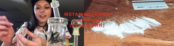 индика Новодвинск