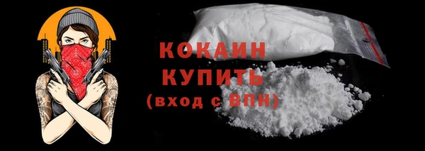 индика Новодвинск