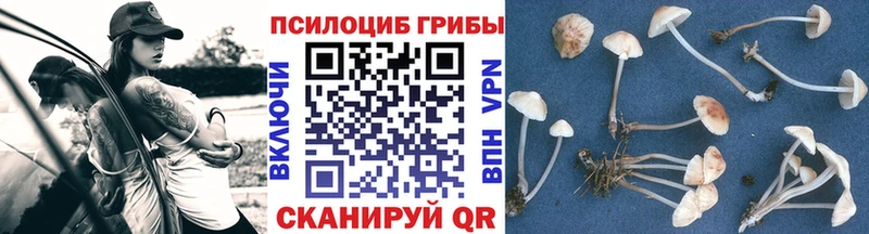 сайты даркнета как зайти цена Мышкин Псилоцибиновые грибы MAGIC MUSHROOMS гидра ССЫЛКА